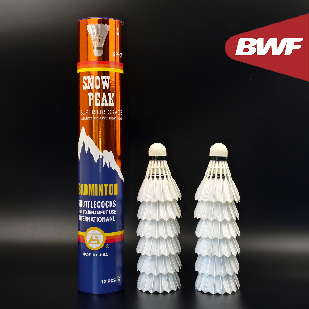 Volants de badminton professio - Badminton Bwf avis et prix