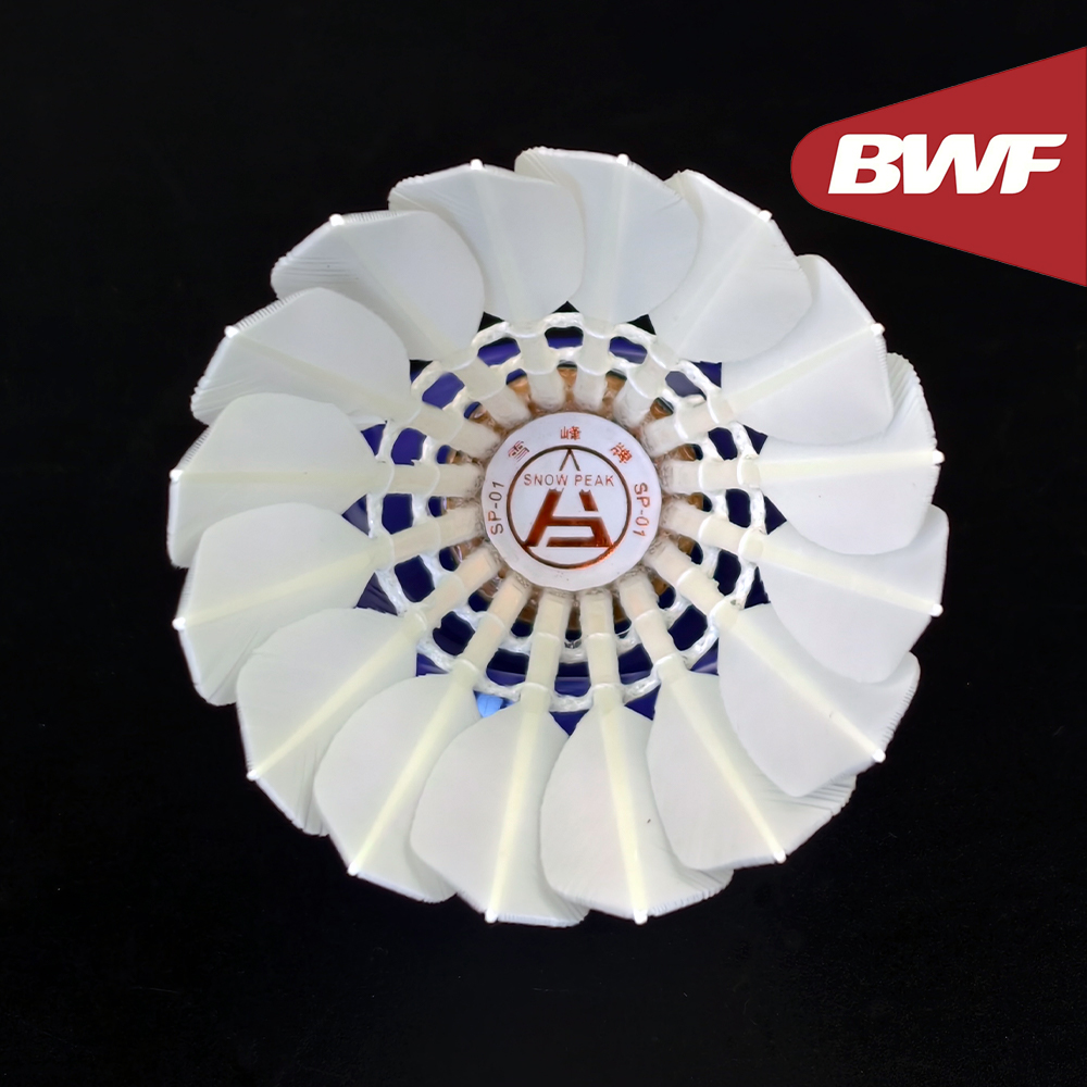 Volants de badminton professio - Badminton Bwf avis et prix